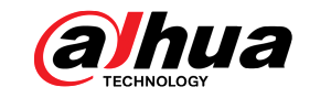 dahua-1024x305